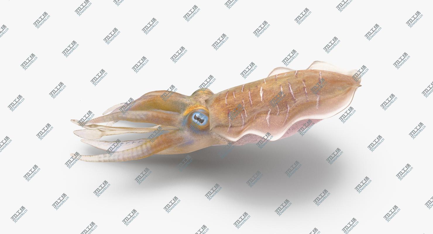 images/goods_img/2021040233/Squid - Rigged/5.jpg